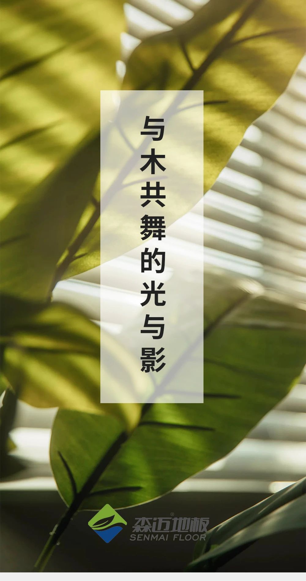 與木共舞的光與影。